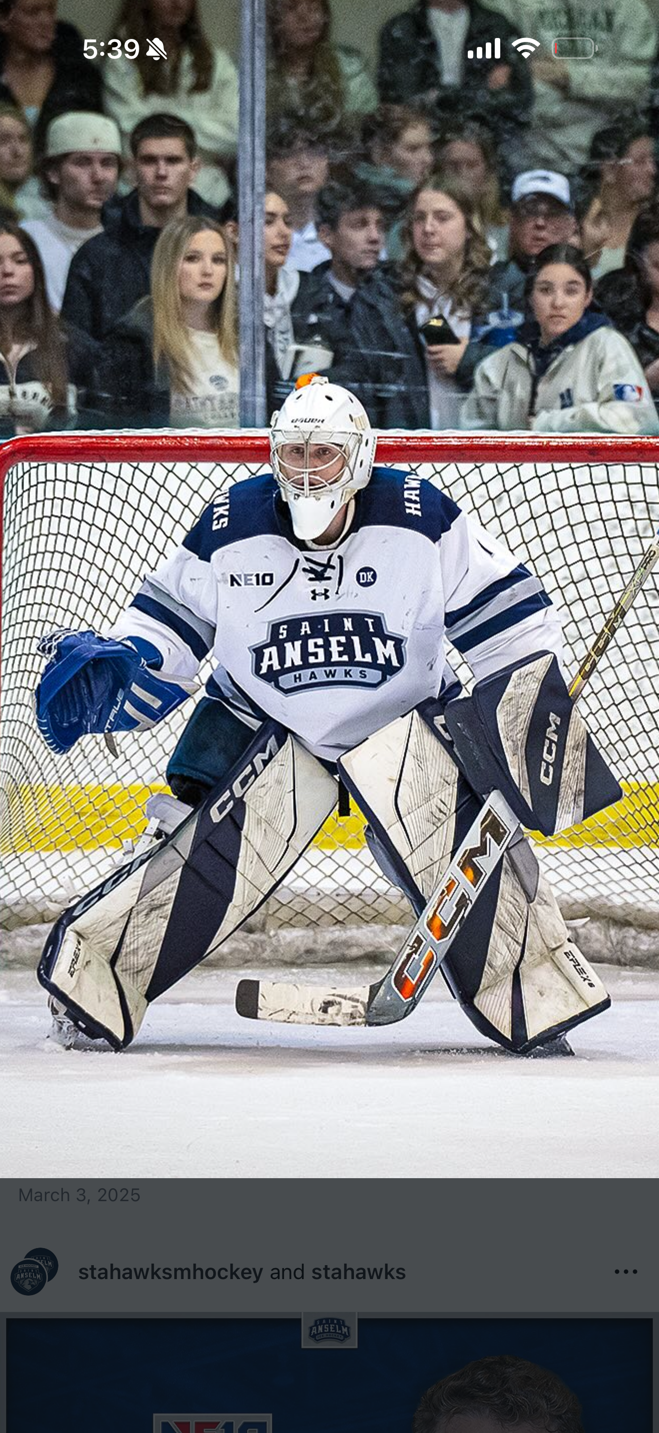 Cam Carroll